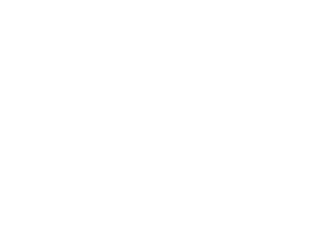 The Carnations C° Aposentos Flowers