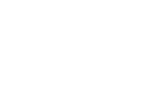 The Carnations C° Aposentos Flowers