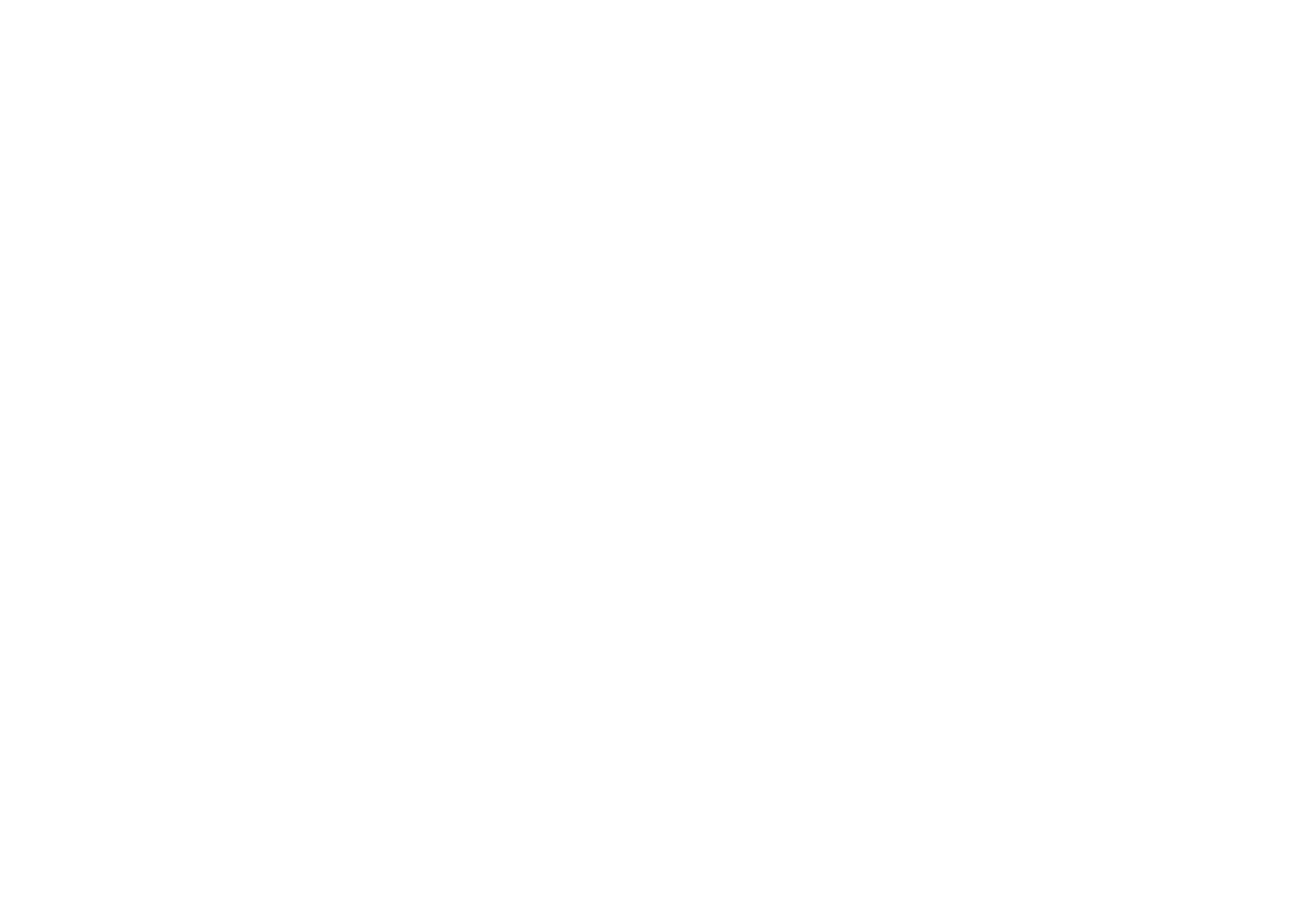 The Carnations C° Aposentos Flowers